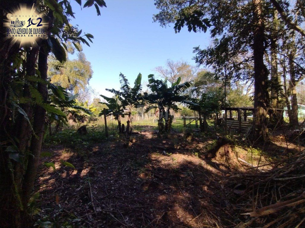 Chácara, 4 quartos, 6200 m² - Foto 30