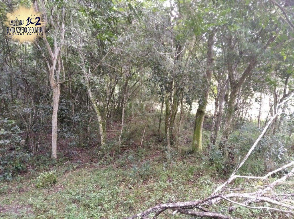 Terreno, 2500 m² - Foto 11