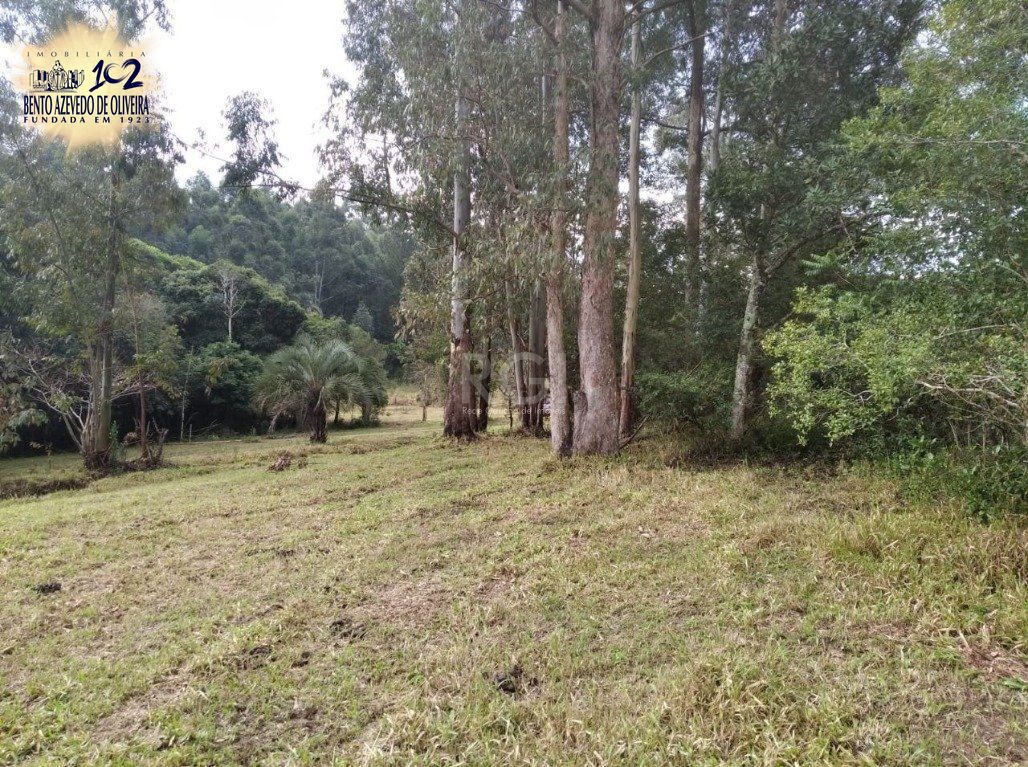 Terreno, 2500 m² - Foto 7