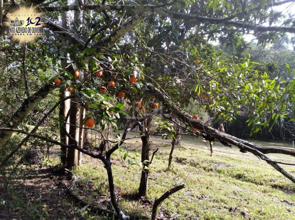 Terreno, 2500 m² - Foto 4