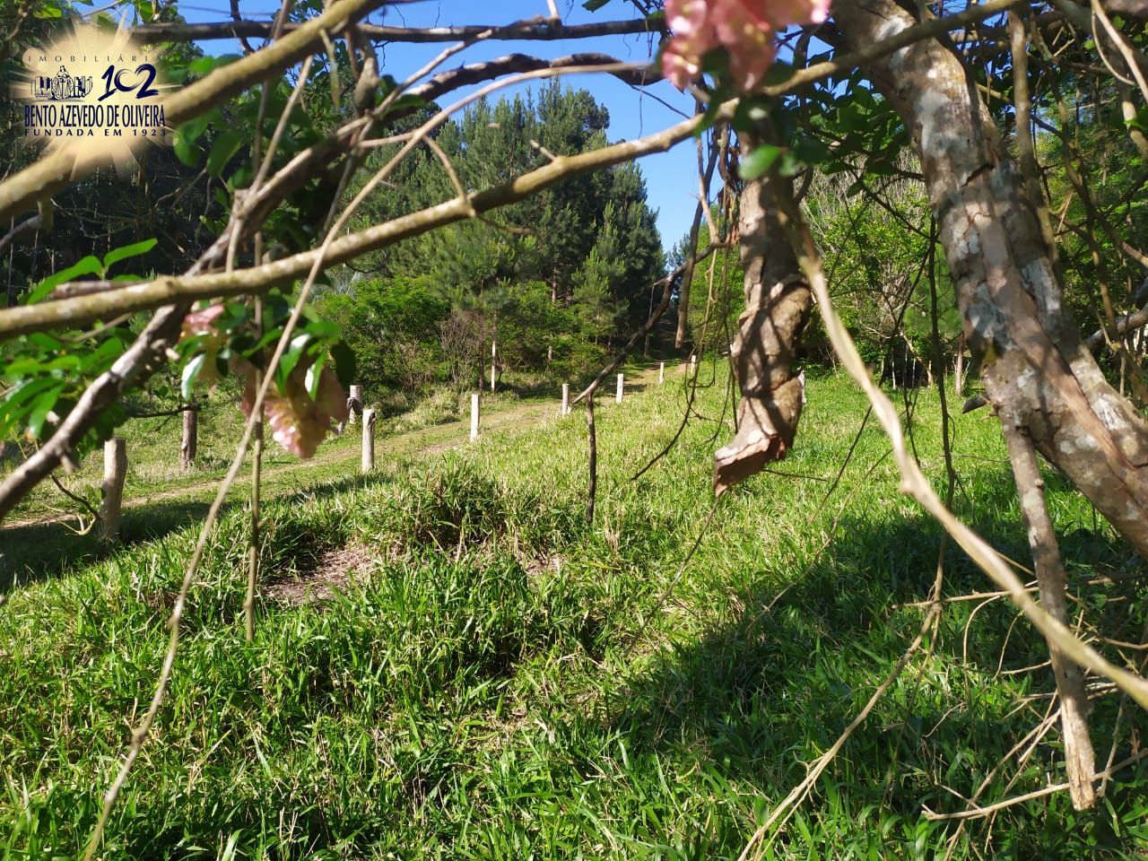 Terreno, 2500 m² - Foto 4