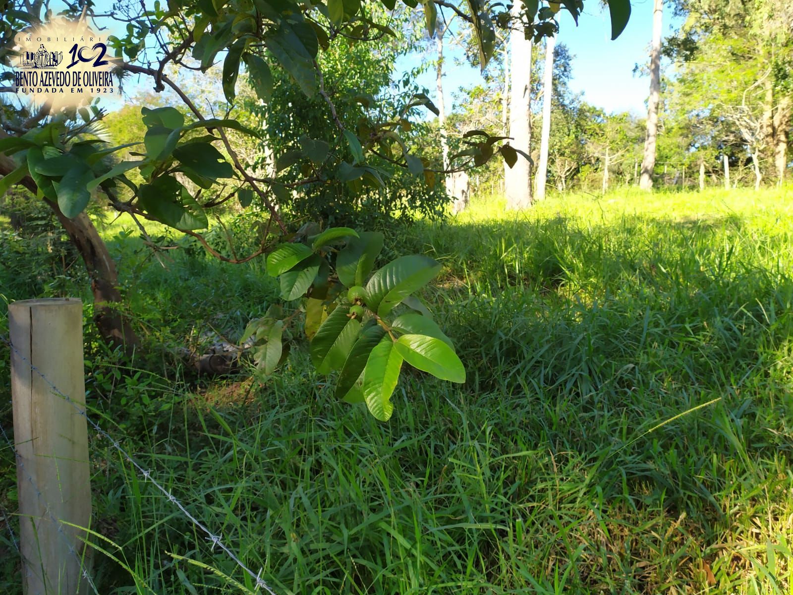 Terreno, 2500 m² - Foto 16