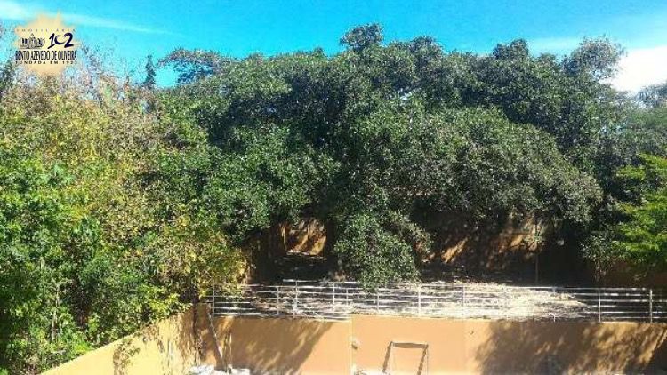 Apartamento, 2 quartos, 53 m² - Foto 15