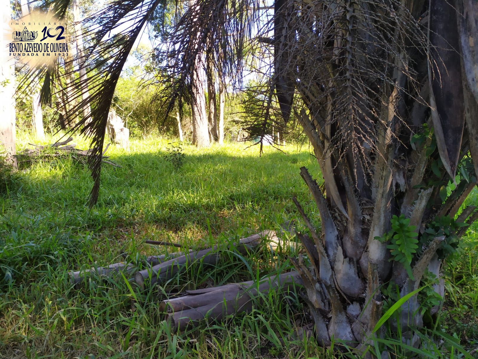 Terreno, 2500 m² - Foto 11