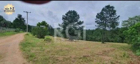 Terreno, 10000 m² - Foto 3