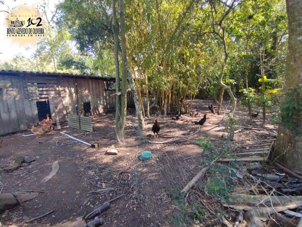 Chácara, 4 quartos, 6200 m² - Foto 26