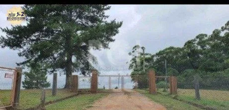 Terreno, 10000 m² - Foto 1