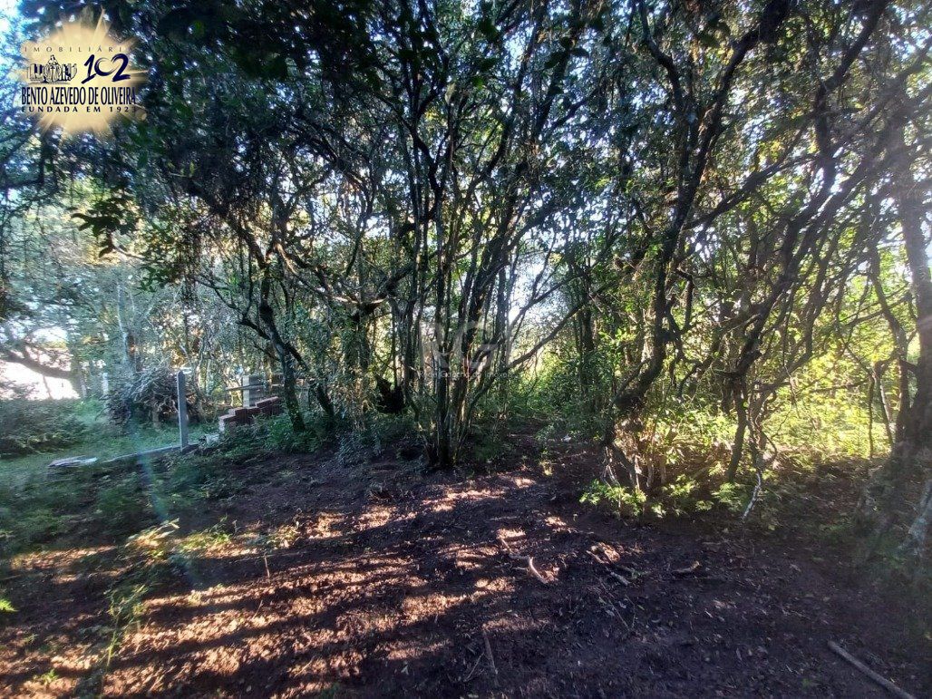 Chácara, 2 quartos, 400 m² - Foto 12