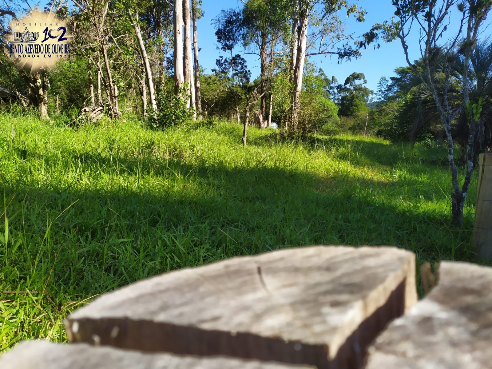 Terreno, 2500 m² - Foto 18
