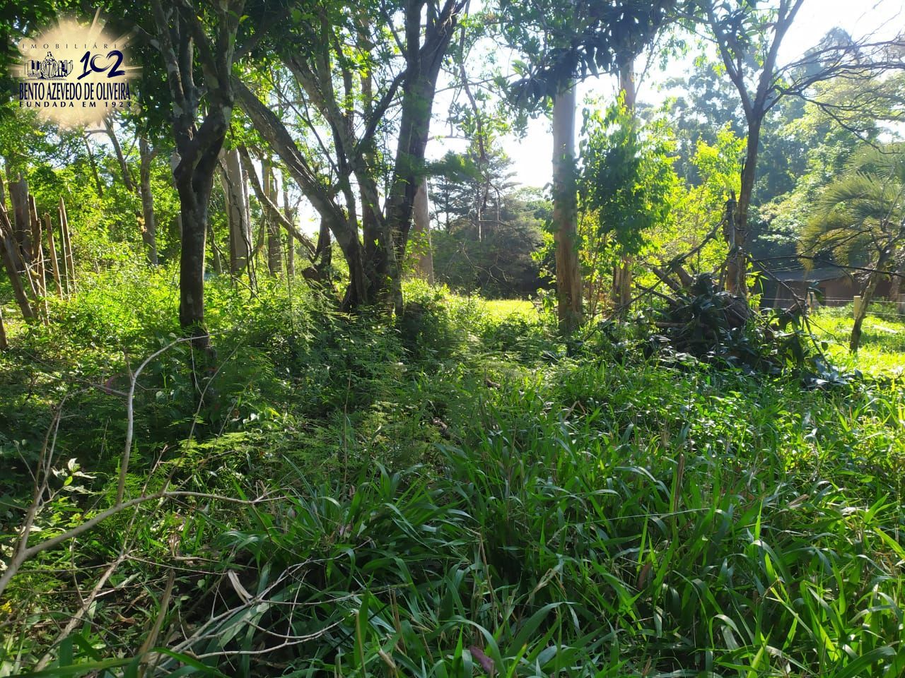Terreno, 2500 m² - Foto 1