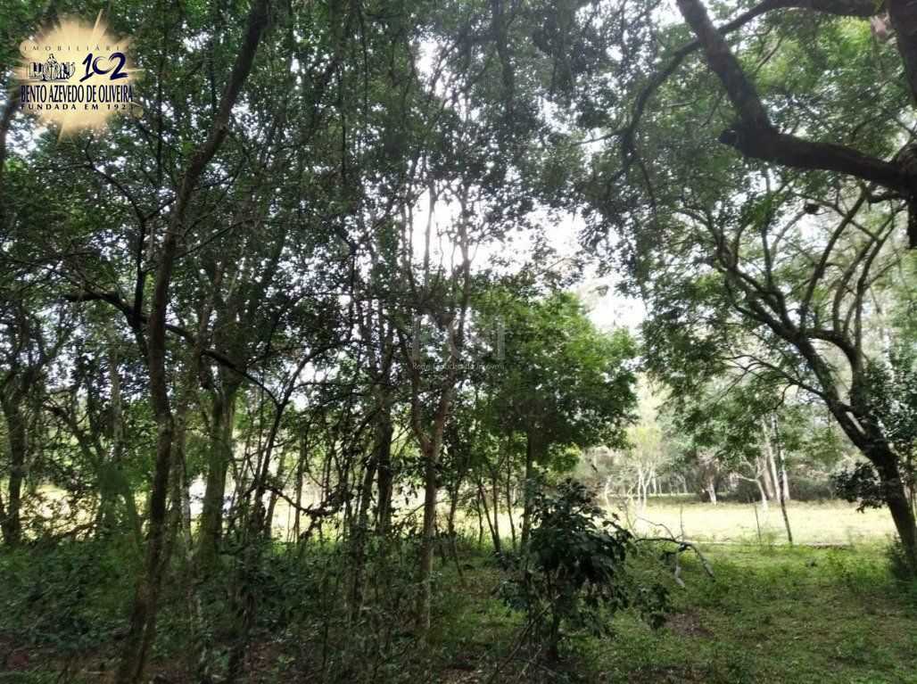 Terreno, 2500 m² - Foto 3