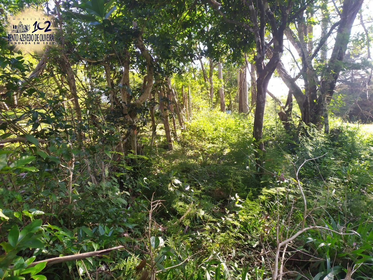 Terreno, 2500 m² - Foto 2