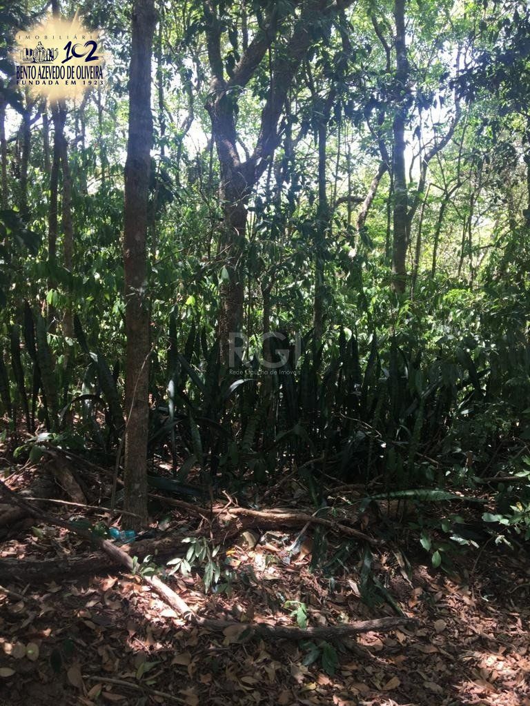 Terreno, 6750 m² - Foto 2