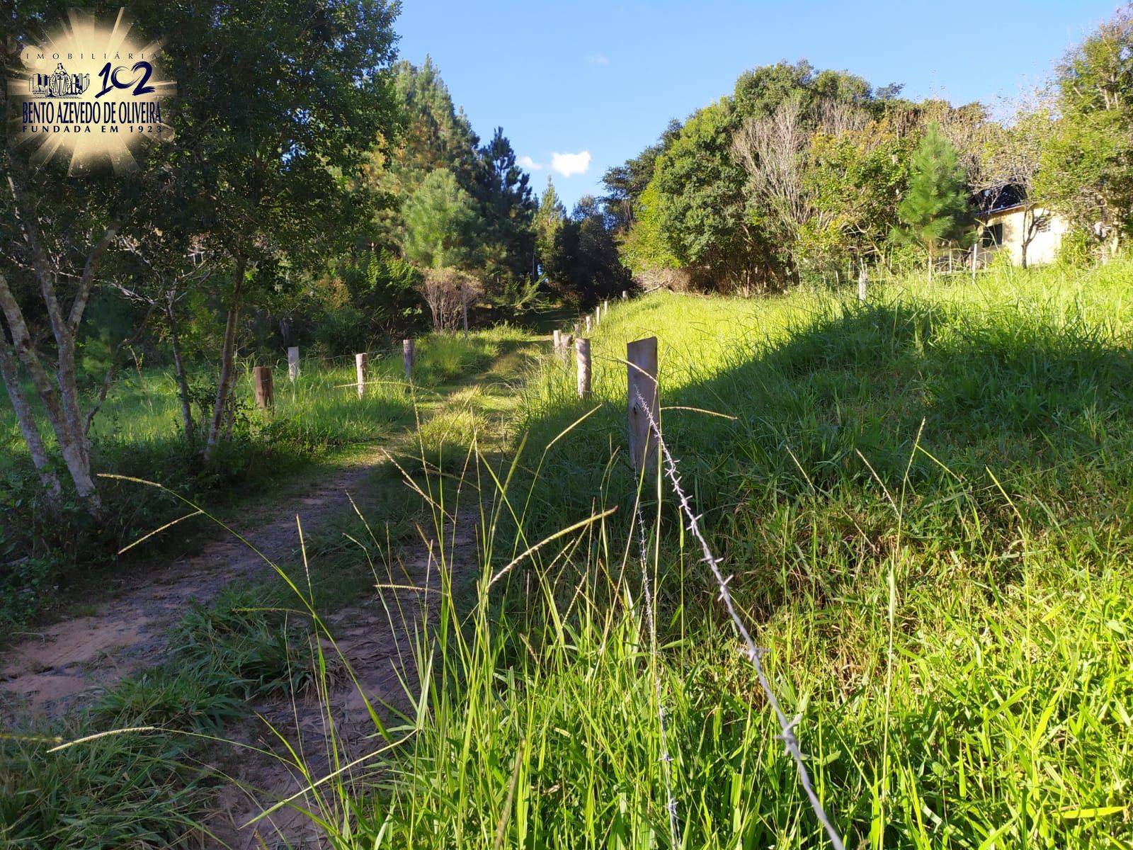 Terreno, 2500 m² - Foto 13