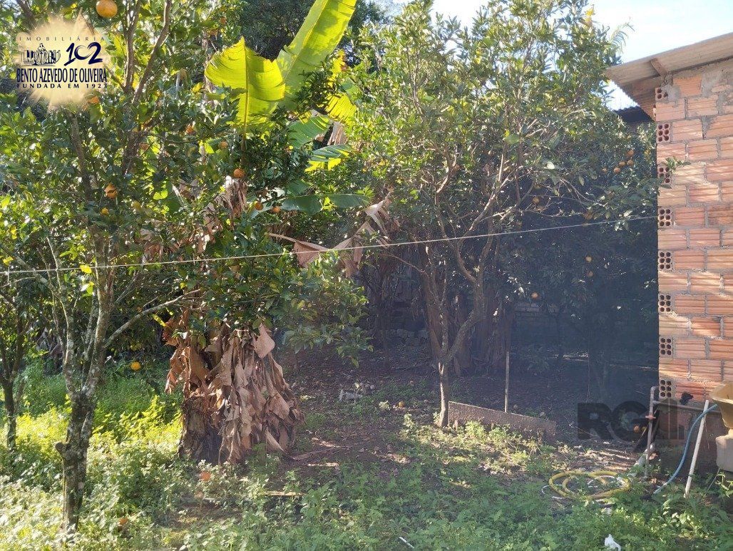 Casa, 2 quartos, 560 m² - Foto 9