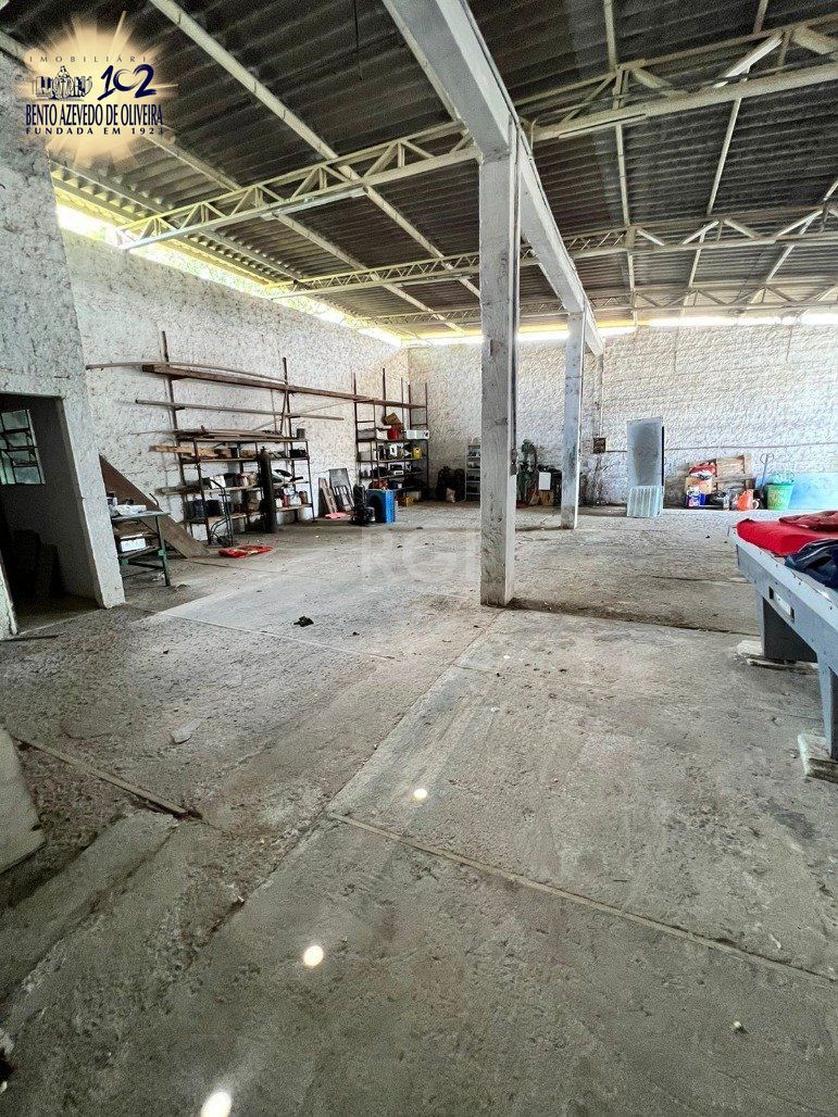 Casa, 4 quartos, 300 m² - Foto 15