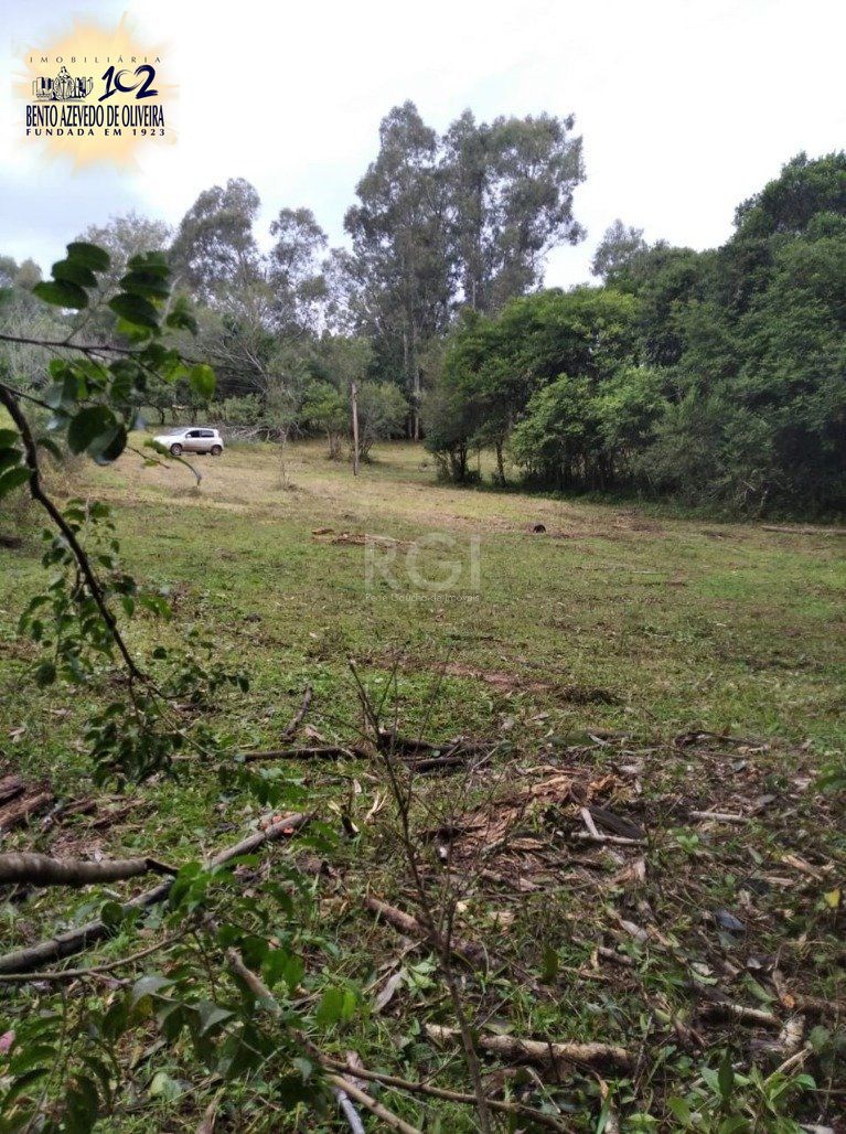 Terreno, 2500 m² - Foto 6