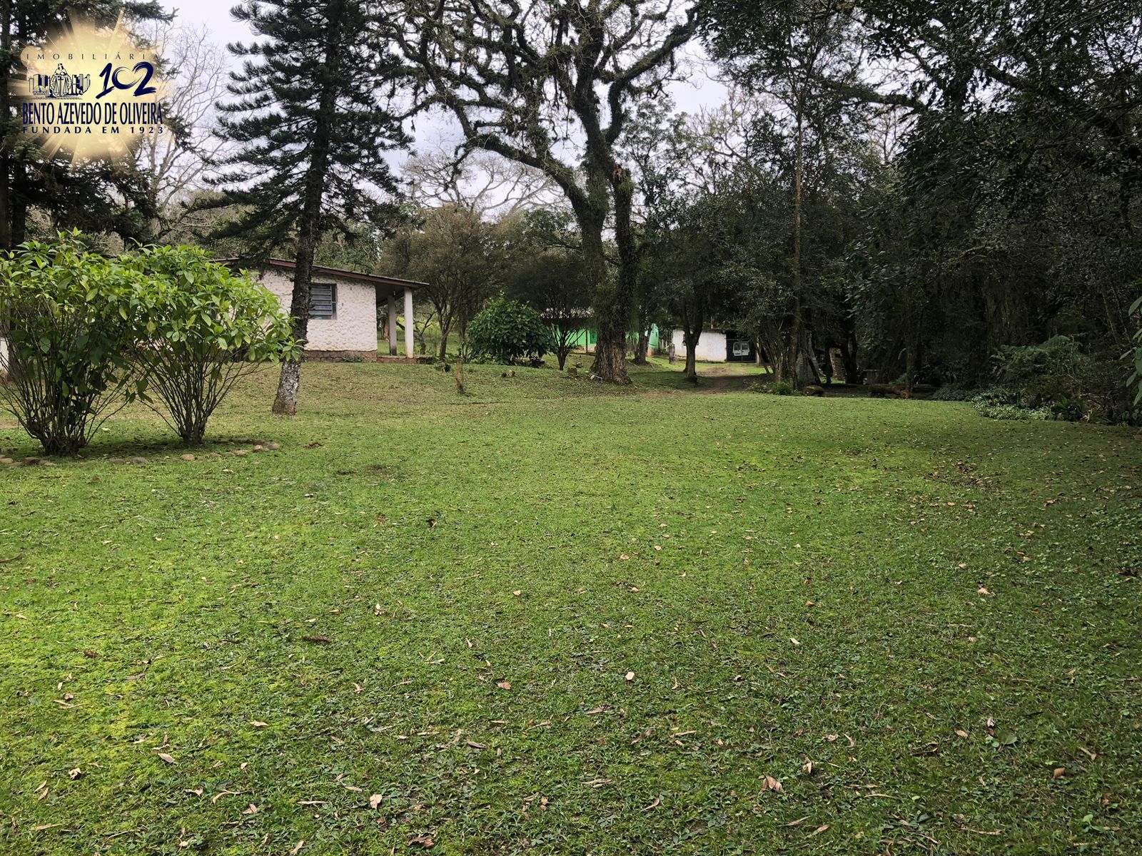 Chácara, 1 quarto, 12 hectares - Foto 6