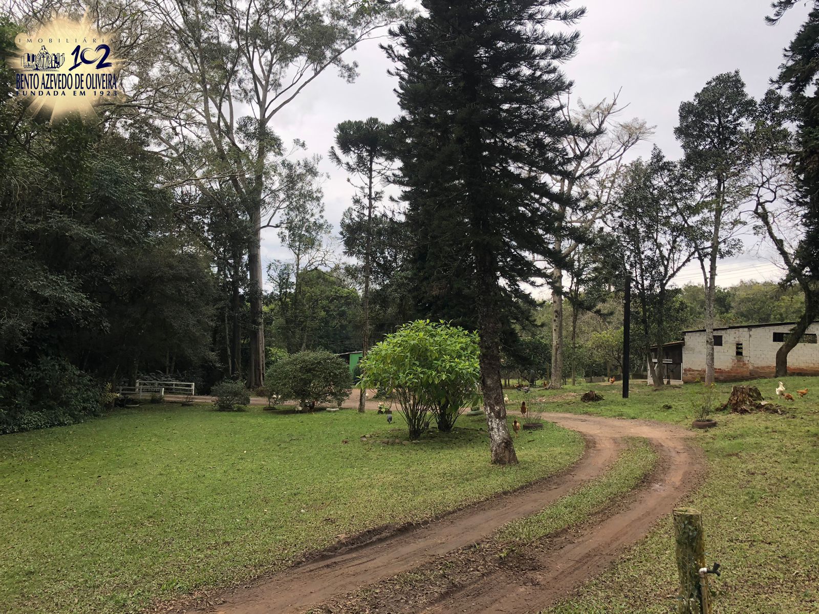 Chácara, 1 quarto, 12 hectares - Foto 5