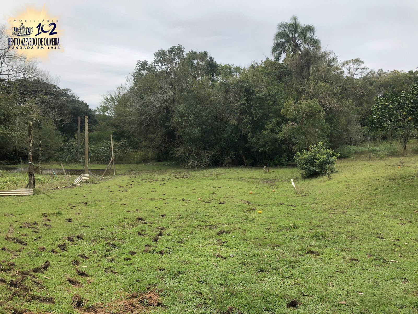 Chácara, 1 quarto, 12 hectares - Foto 2