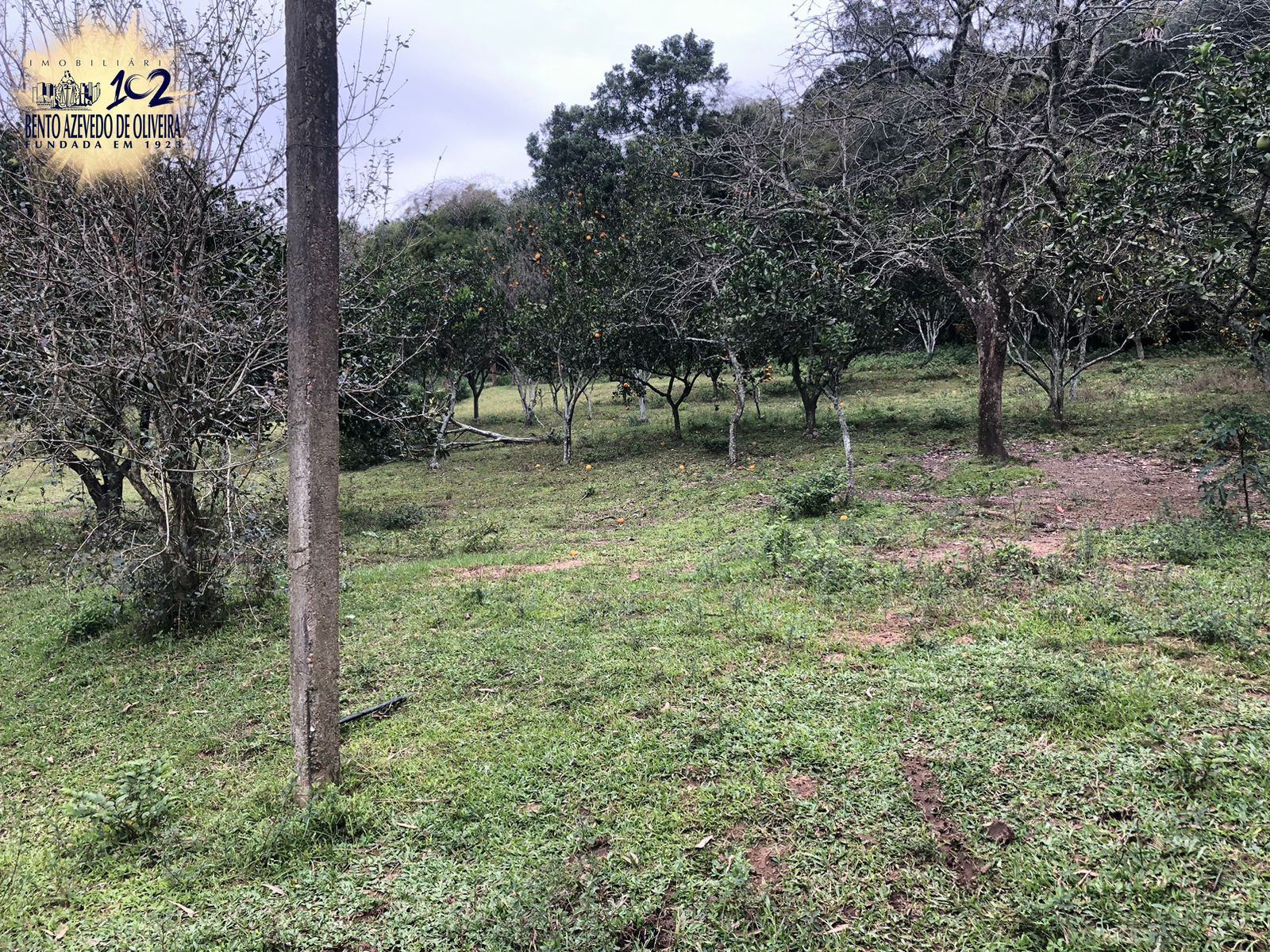 Chácara, 1 quarto, 12 hectares - Foto 4