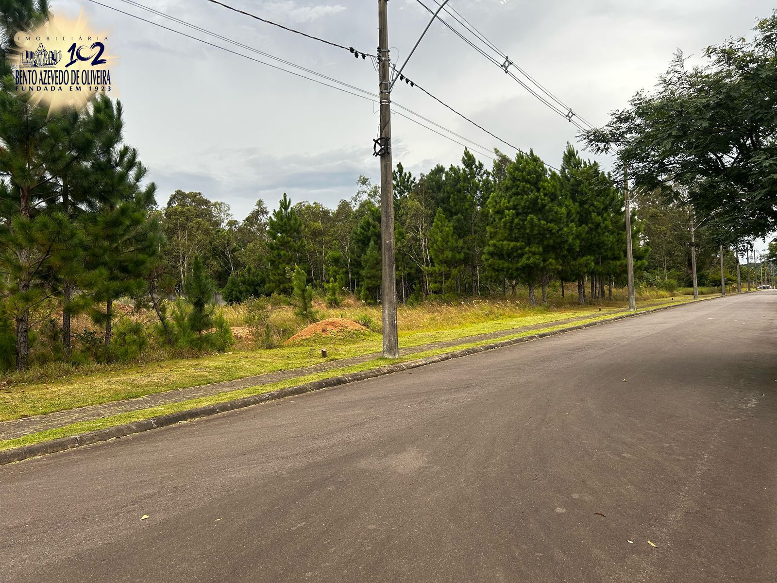 Terreno, 1234 m² - Foto 3