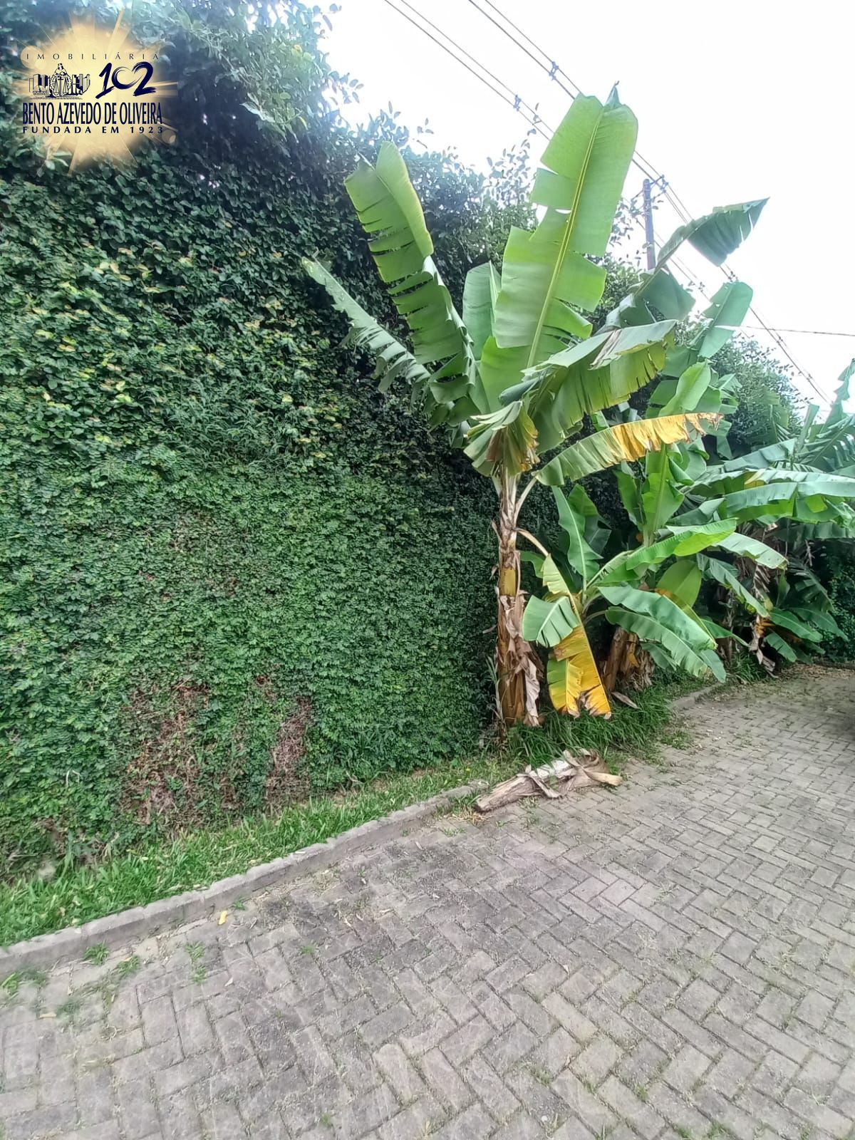 Casa, 6 quartos, 350 m² - Foto 27