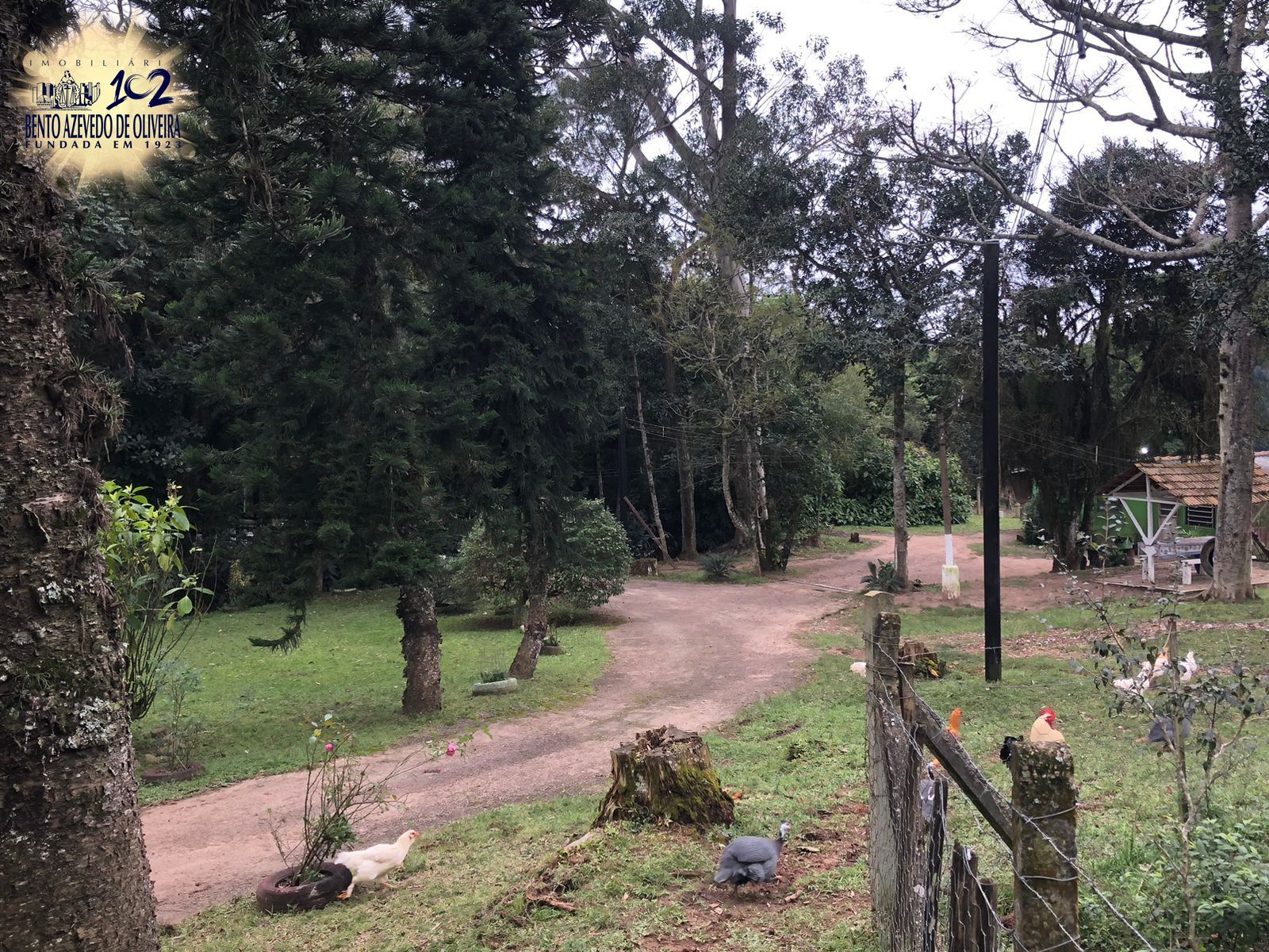Chácara, 1 quarto, 12 hectares - Foto 1