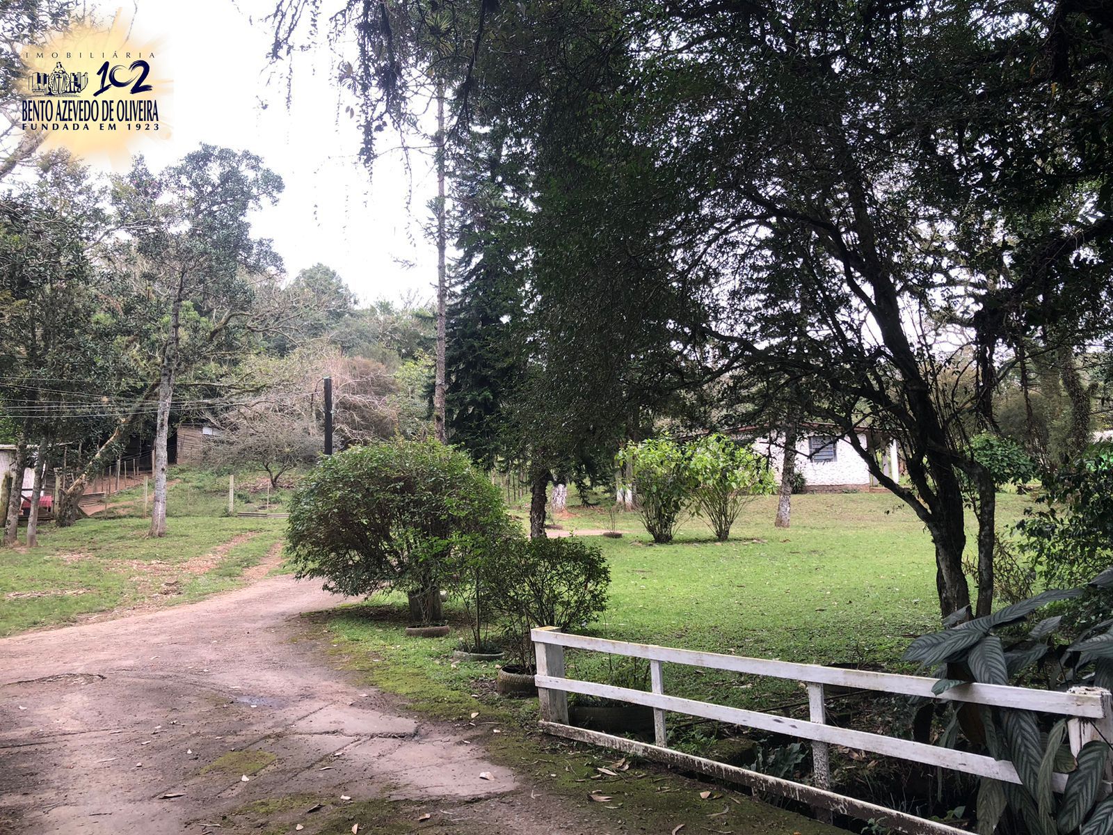 Chácara, 1 quarto, 12 hectares - Foto 7