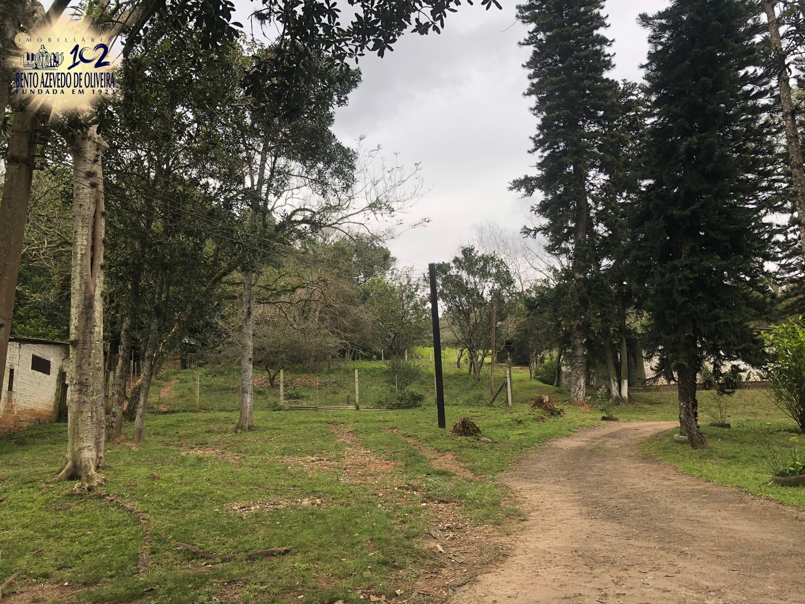 Chácara, 1 quarto, 12 hectares - Foto 8