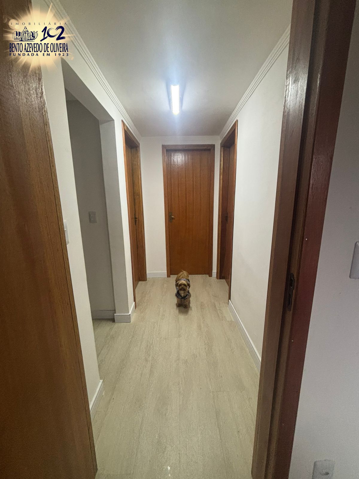 Casa, 3 quartos, 157 m² - Foto 13