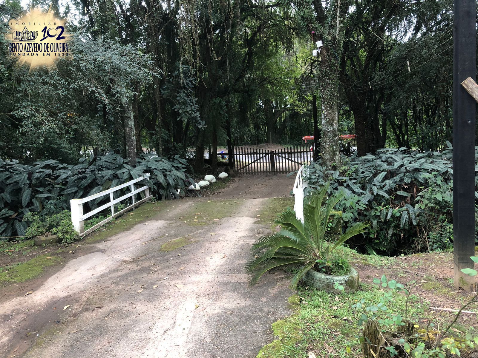 Chácara, 1 quarto, 12 hectares - Foto 9
