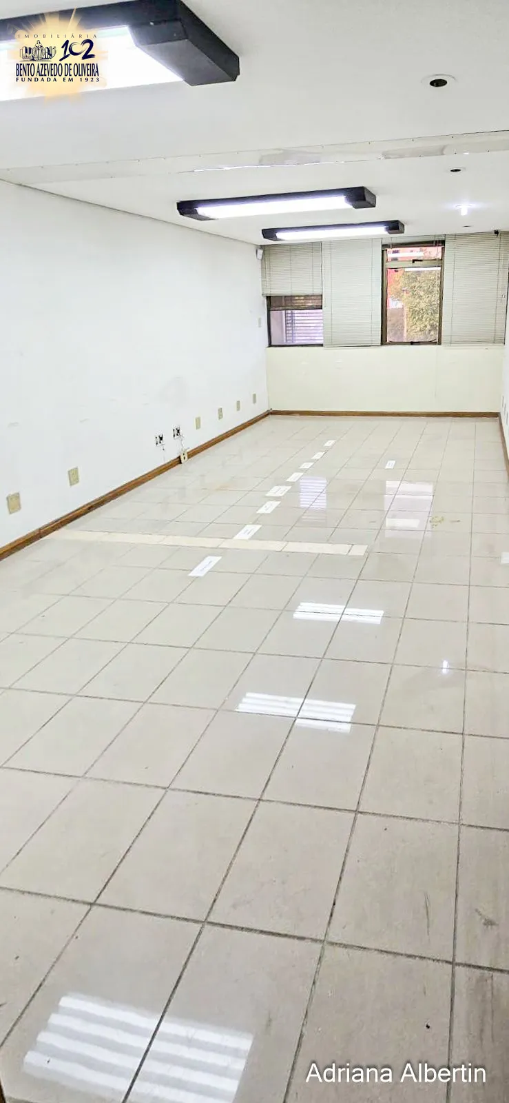 Prédio Inteiro, 239 m² - Foto 4