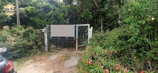 .jpg+2025-03-04