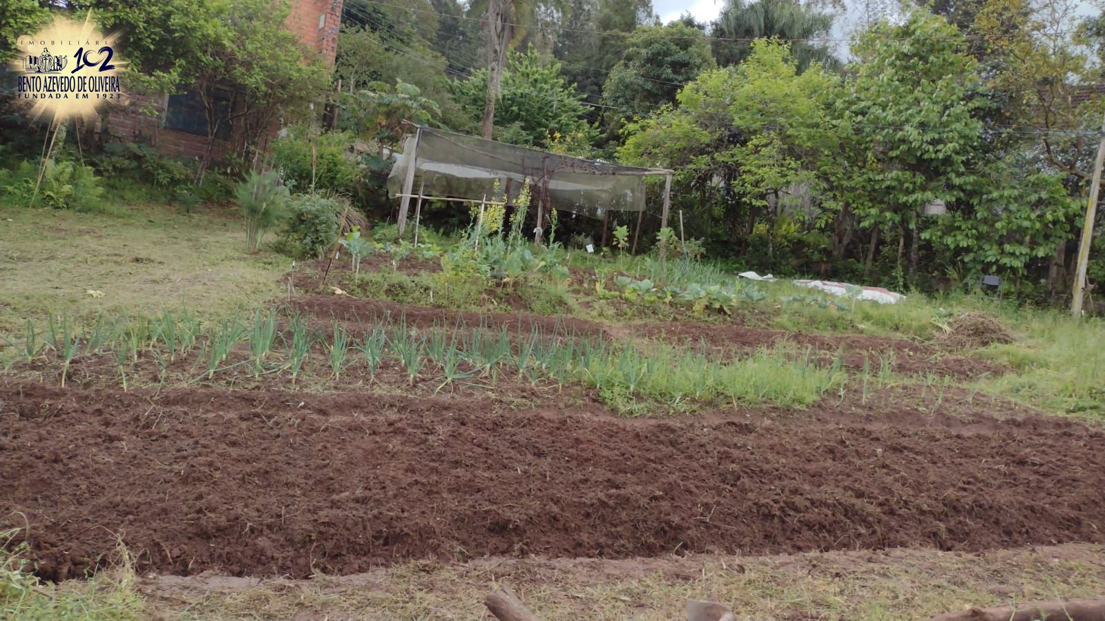 Chácara, 3 quartos, 2 hectares - Foto 17