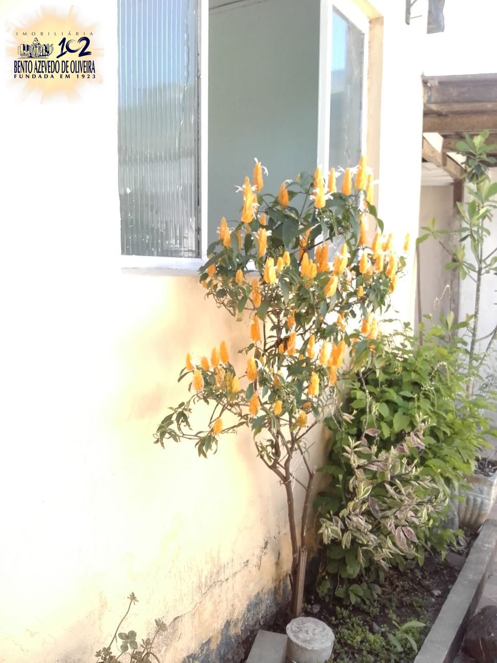 Terreno, 374 m² - Foto 8