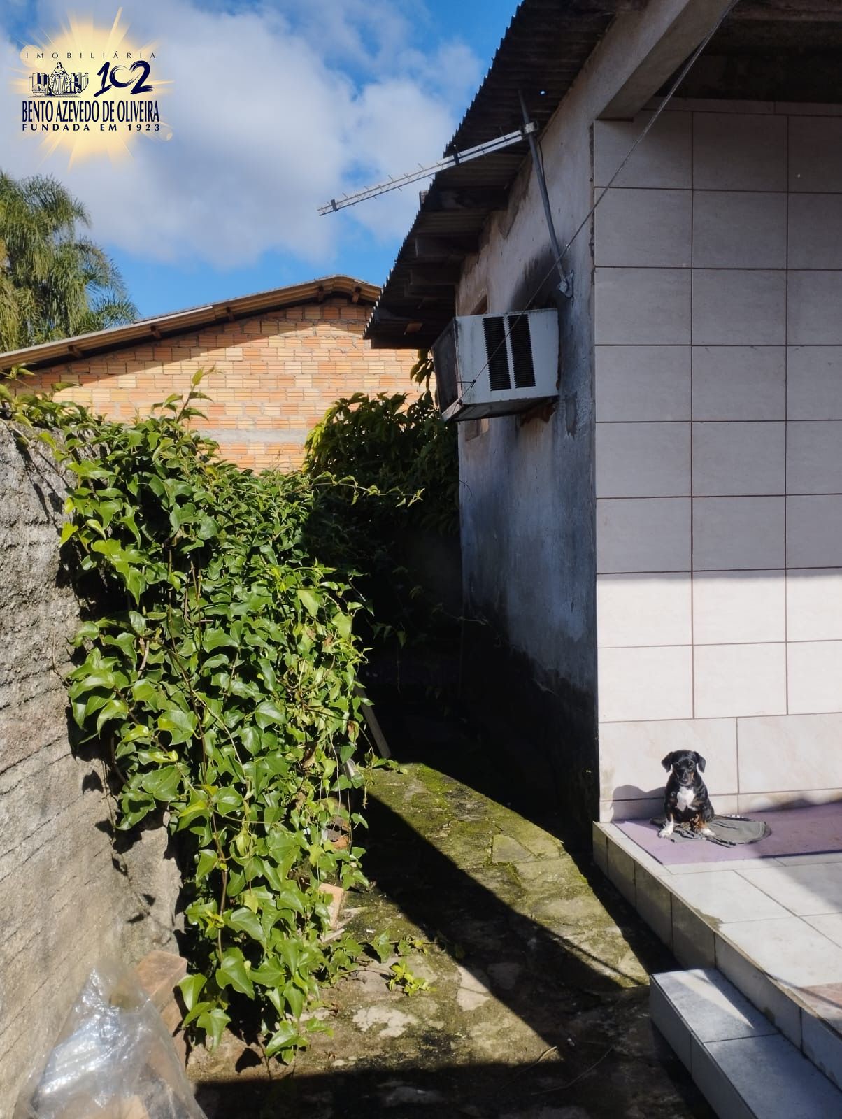 Terreno, 300 m² - Foto 1