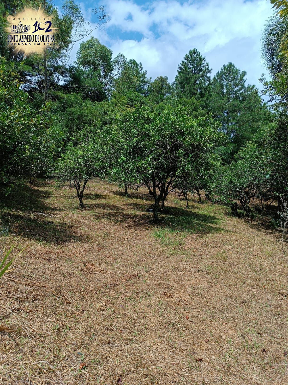 Chácara, 3 quartos, 2 hectares - Foto 22