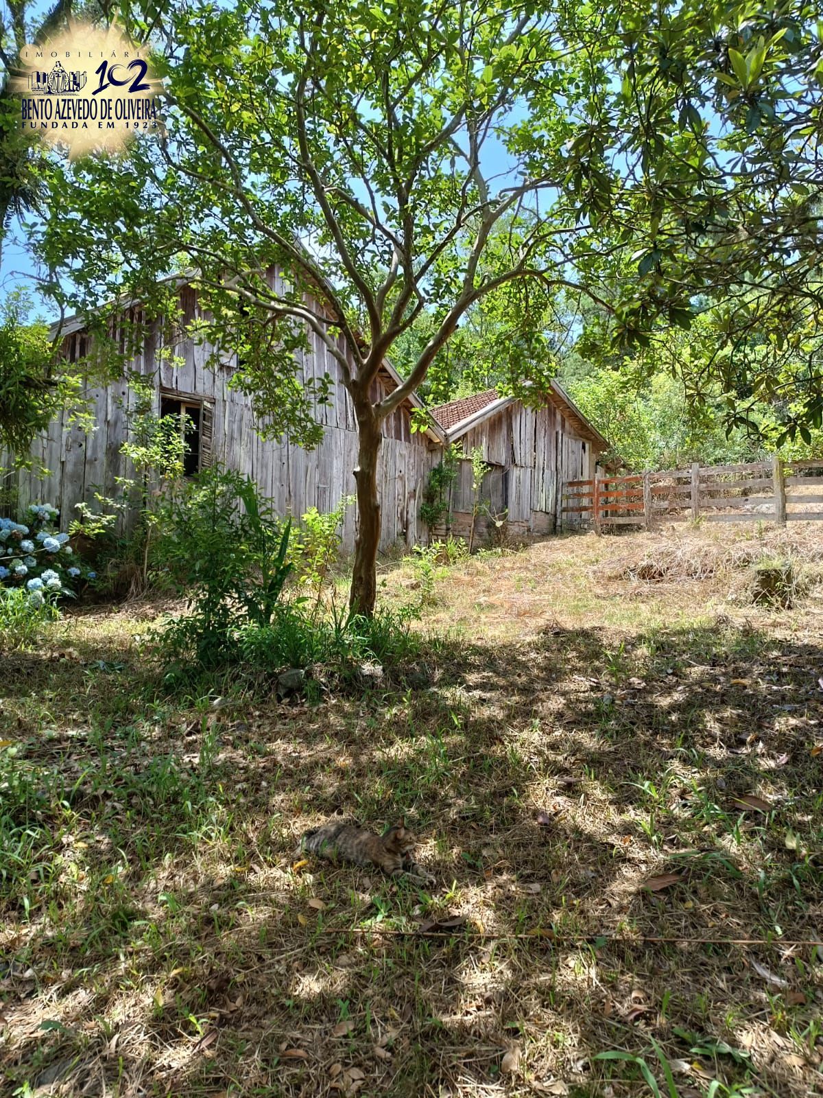 Chácara, 3 quartos, 2 hectares - Foto 16