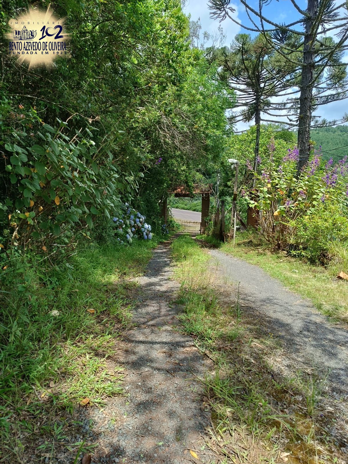 Chácara, 3 quartos, 2 hectares - Foto 12