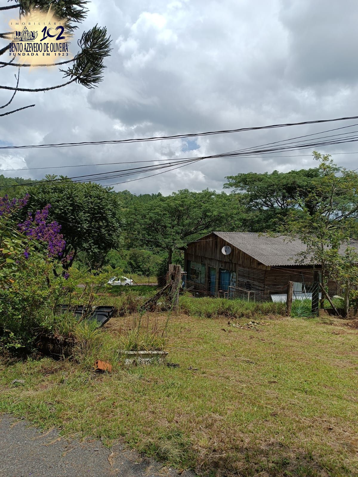 Chácara, 3 quartos, 2 hectares - Foto 14