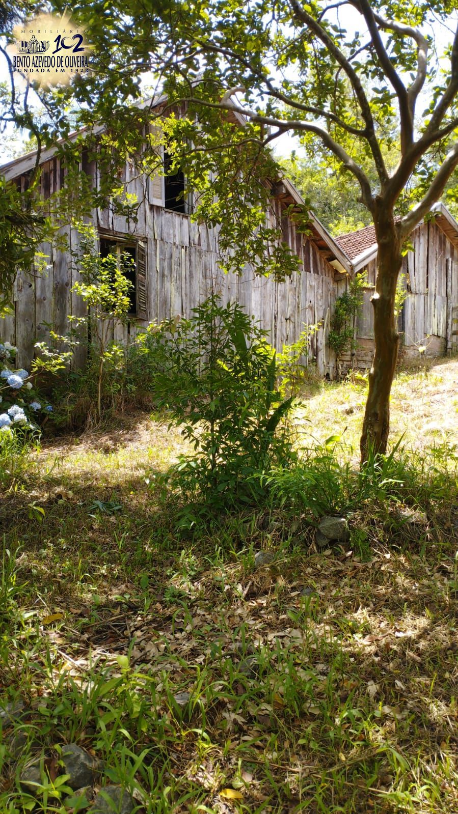 Chácara, 3 quartos, 2 hectares - Foto 15