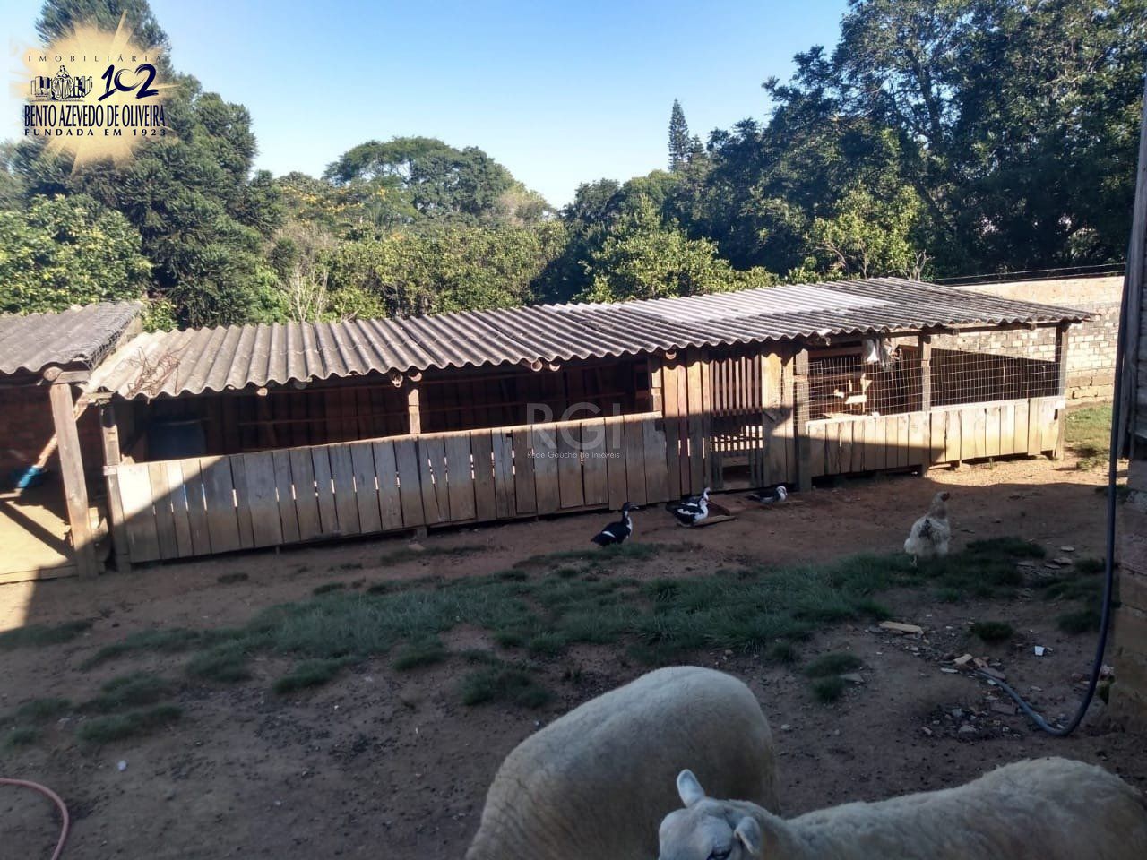 Chácara, 2 quartos, 3360 m² - Foto 14