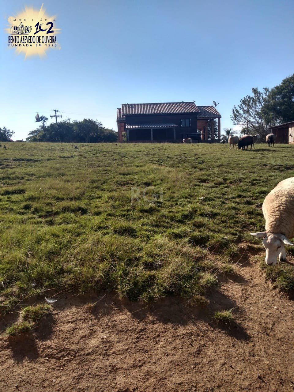 Chácara, 2 quartos, 3360 m² - Foto 10
