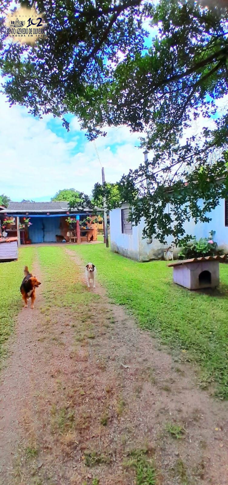 Terreno, 1500 m² - Foto 3