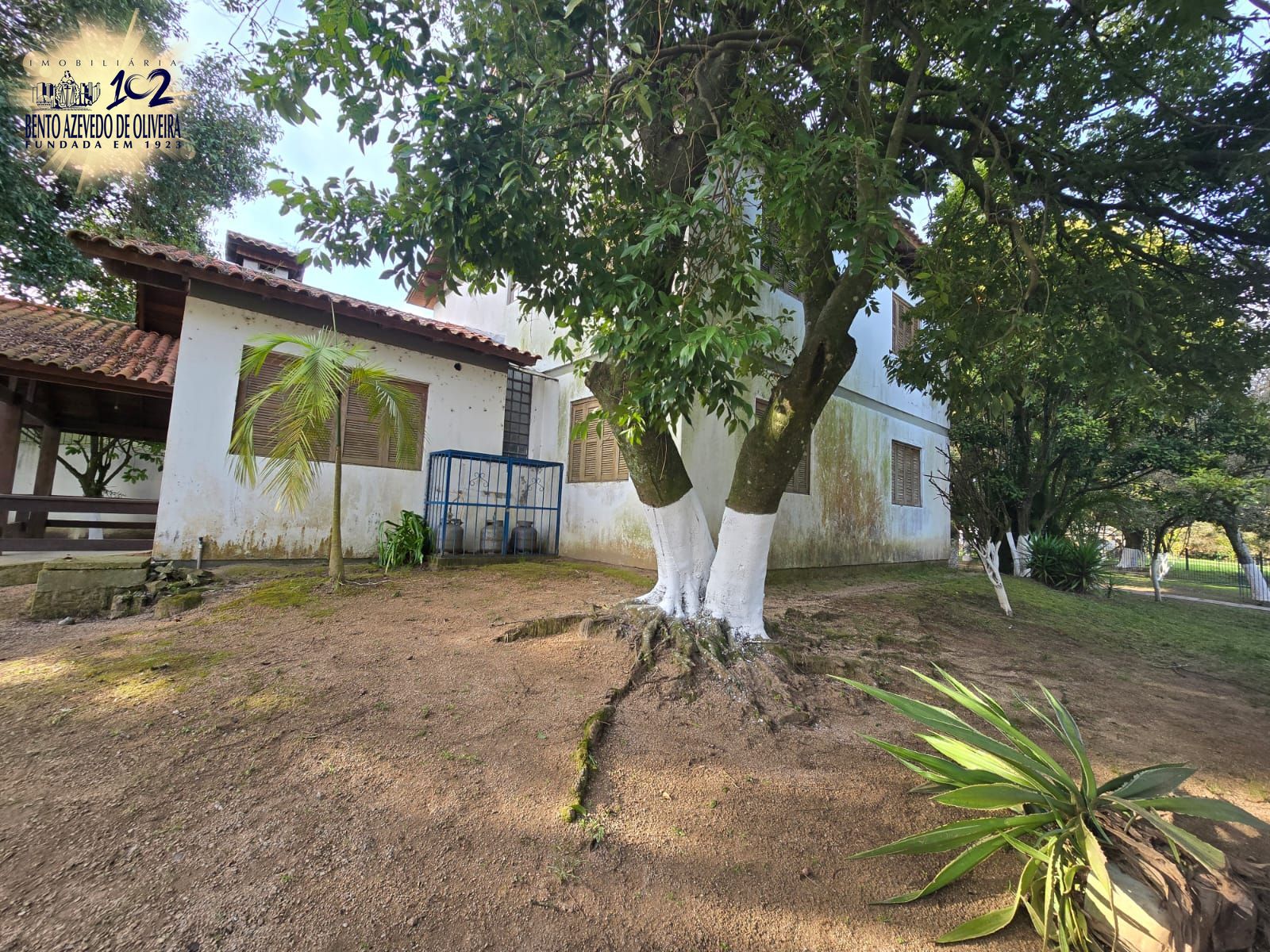 Chácara, 3 quartos, 10000 m² - Foto 23