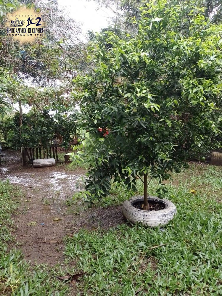 Casa, 3 quartos, 40 m² - Foto 17