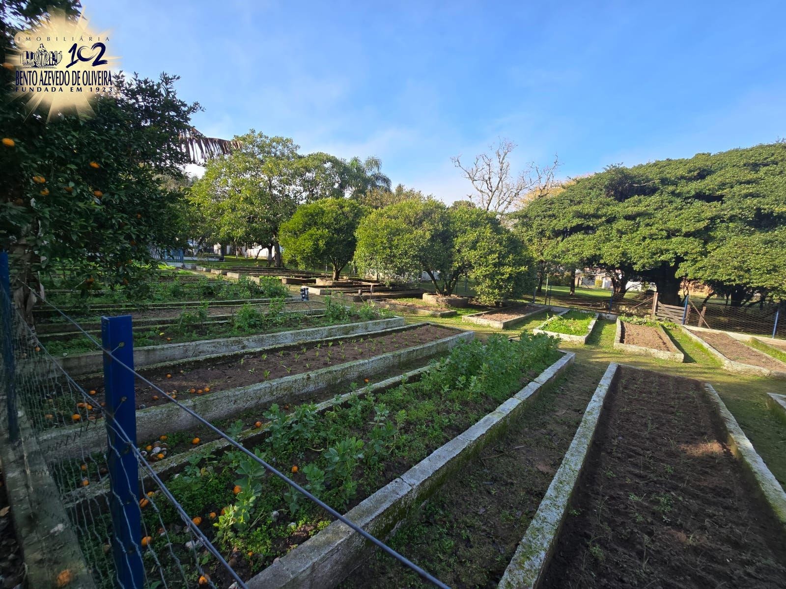 Chácara, 3 quartos, 10000 m² - Foto 6