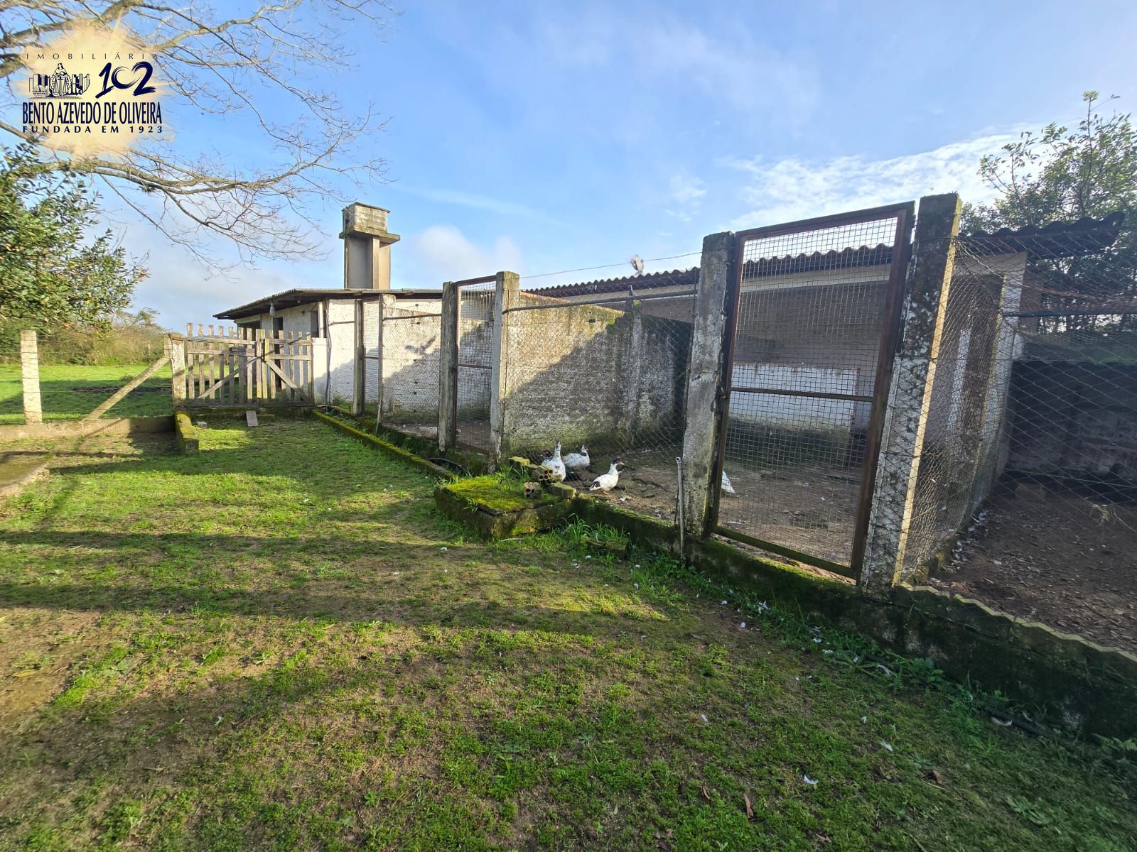 Chácara, 3 quartos, 10000 m² - Foto 12