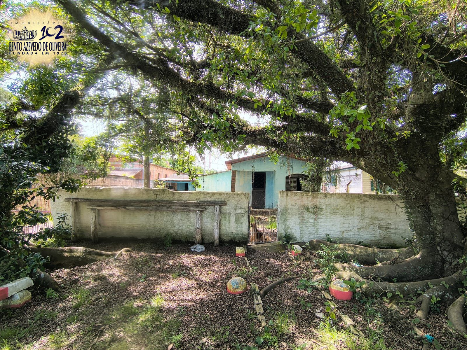 Terreno, 1500 m² - Foto 1